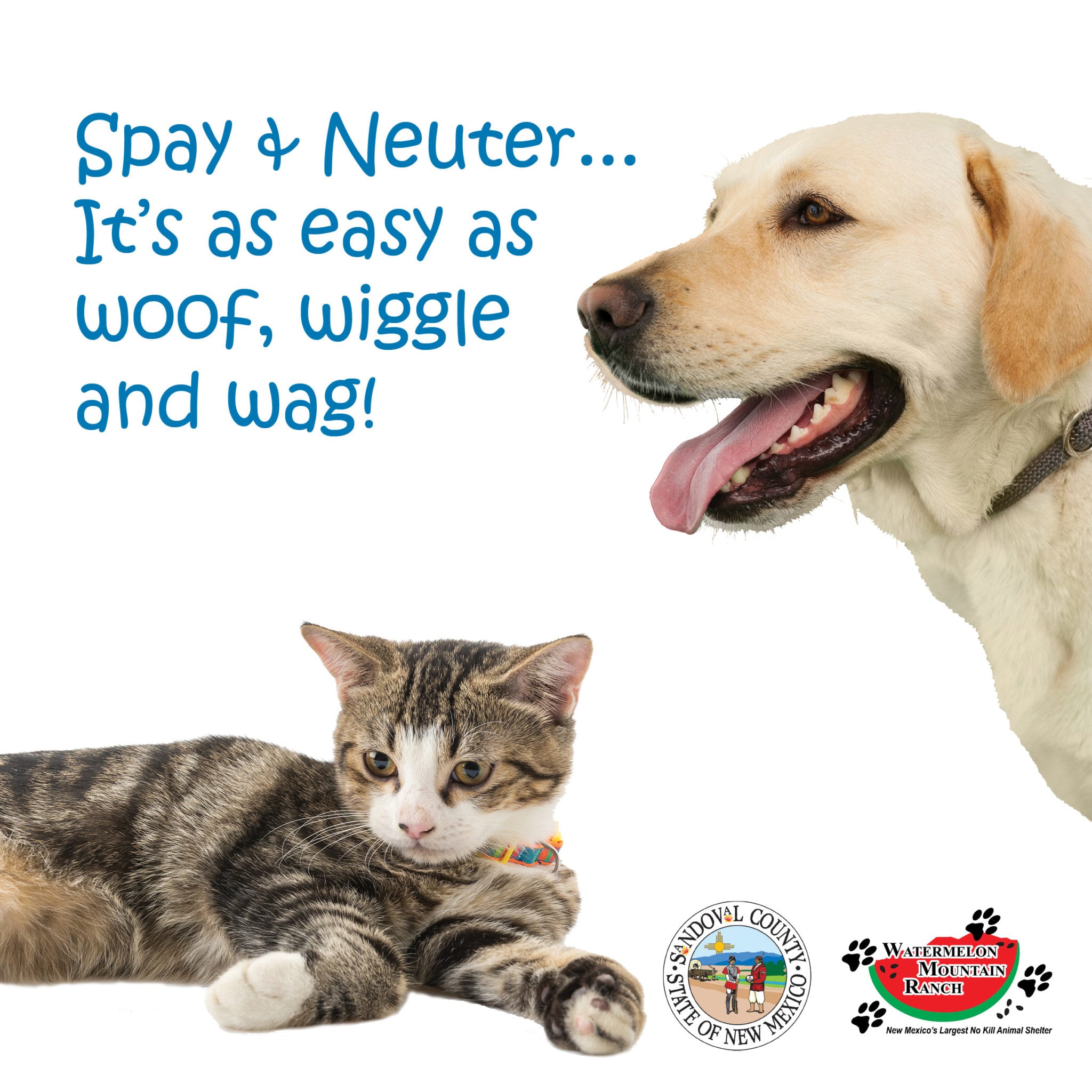 Low-Income Spay and Neuter Program 