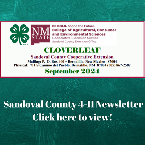 Sandoval County 4-H Newsletter