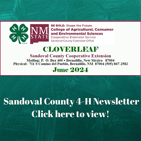 Sandoval County 4-H Newsletter